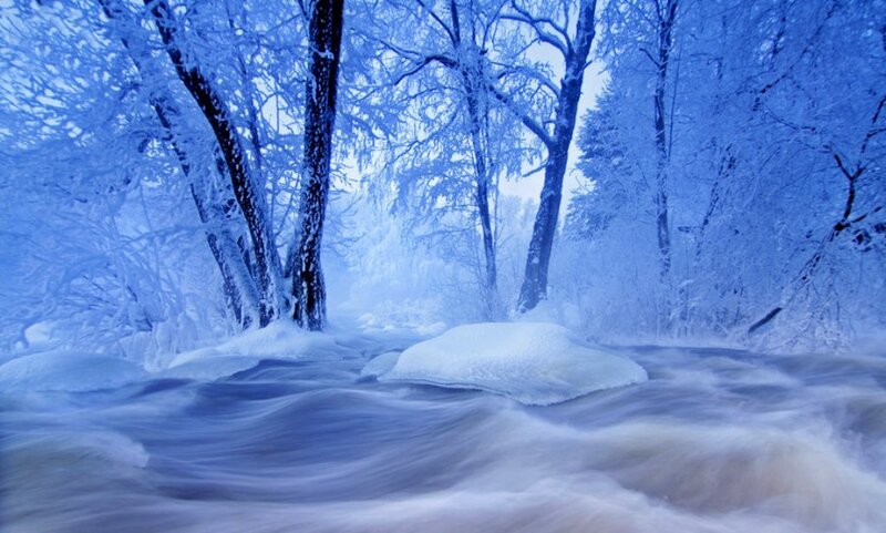 Frozen River in Forest