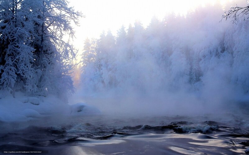 Frozen River in Forest — White, Cold, Winter, Photograph, Snow, Trees