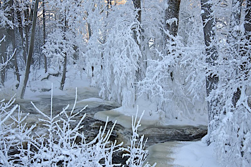 Frozen River in Forest — White, Cold, Winter, Photograph