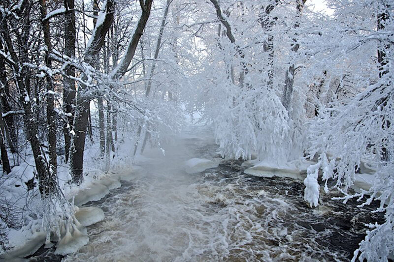 Frozen River in Forest — White, Cold, Winter, Photograph, Trees