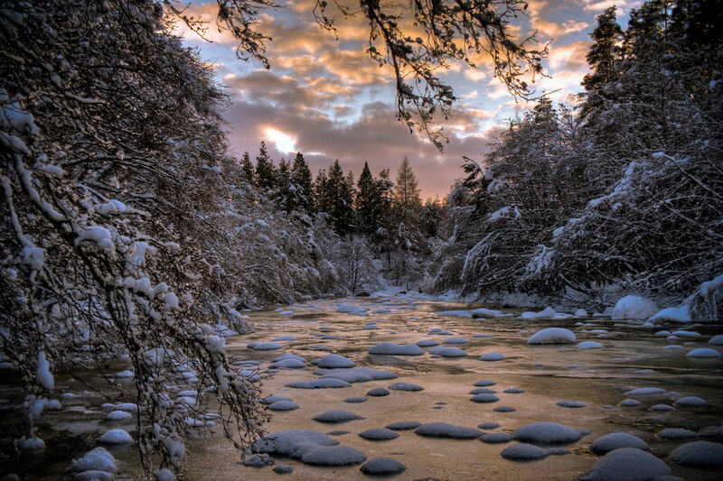 Frozen River in Forest — White, Serene