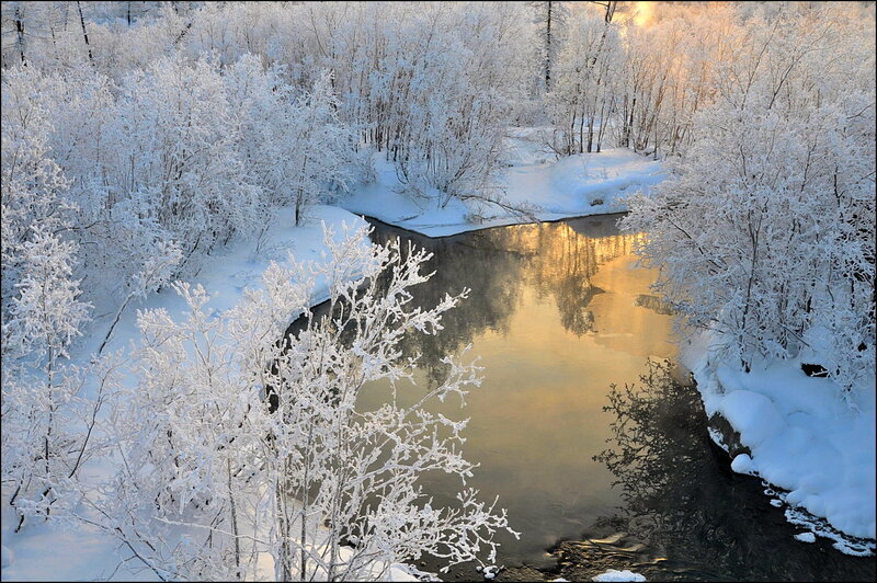 Frozen River in Forest — White, Serene, Winter, Photograph, Snow