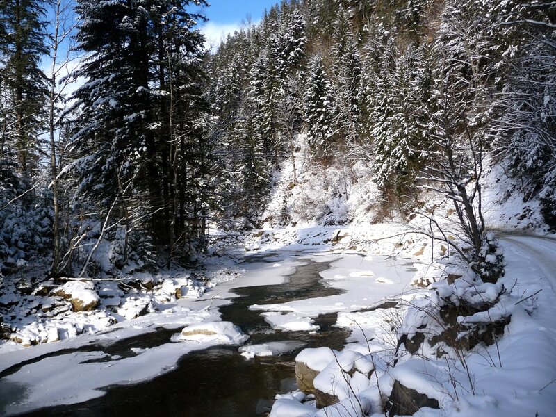 Frozen River in Forest — White, Serene, Winter, Photograph, Snow, Trees