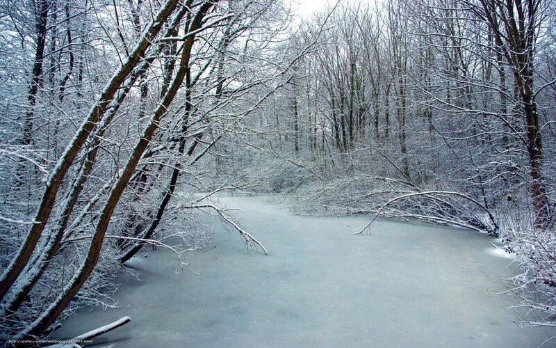 Frozen River in Forest — White, Serene, Winter, Photograph, Trees