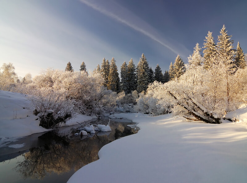 Frozen River in Forest — White, Serene, Winter