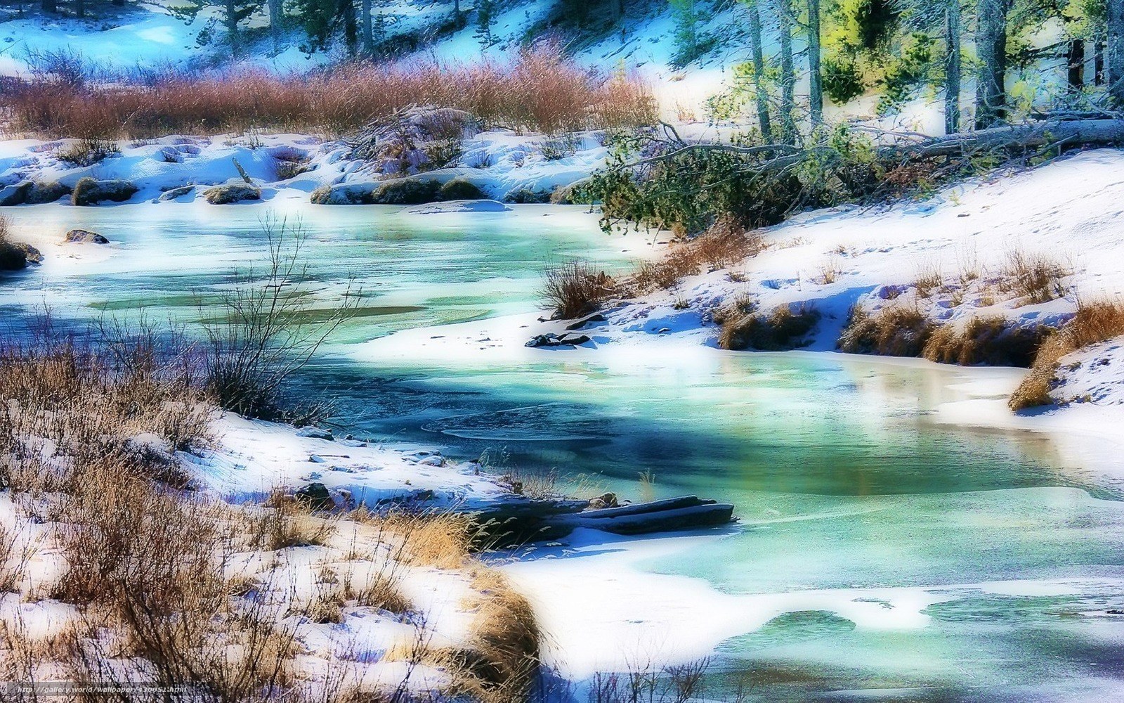 Frozen river in snowy forest