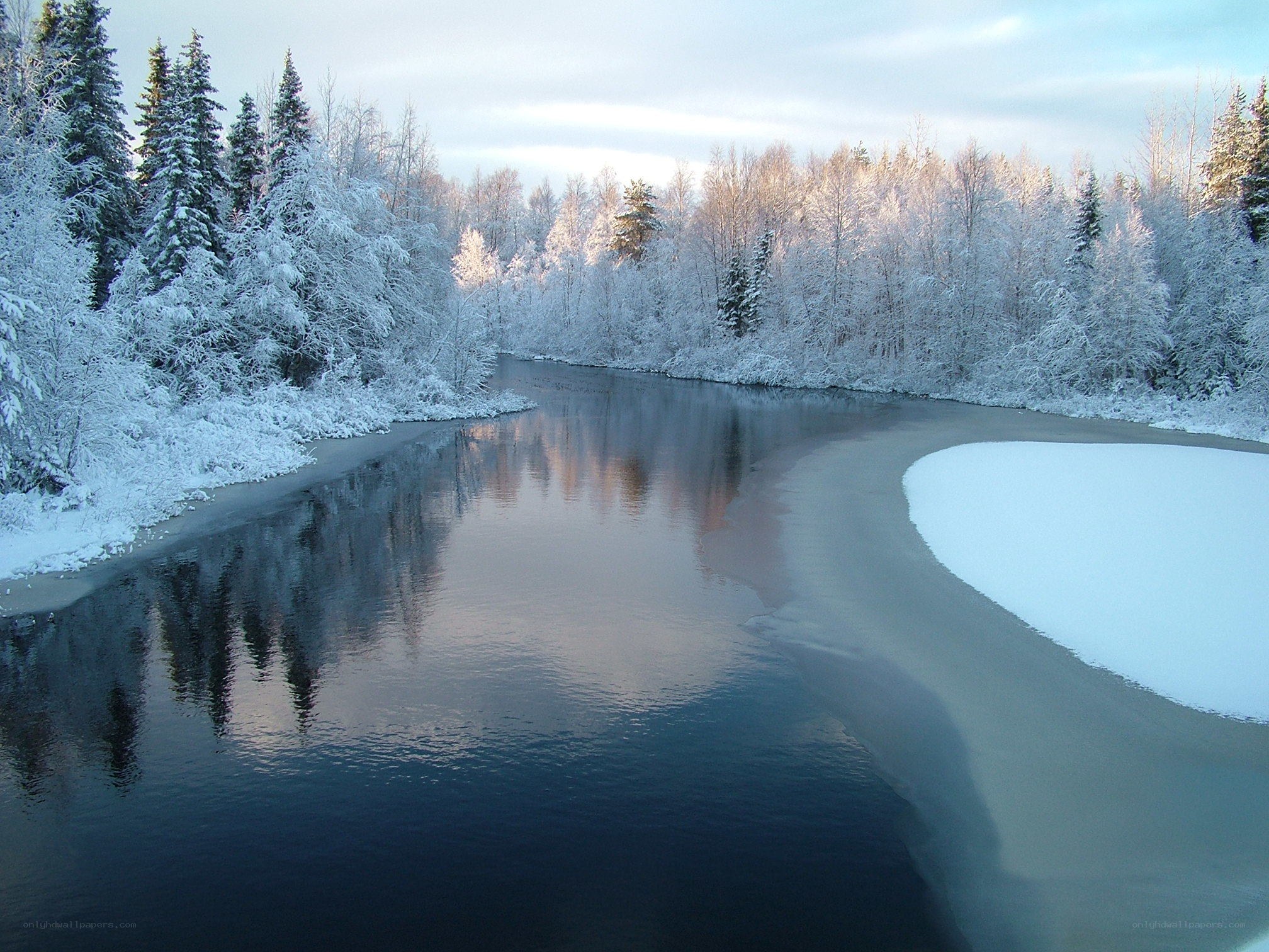 frozen river in snowy forest