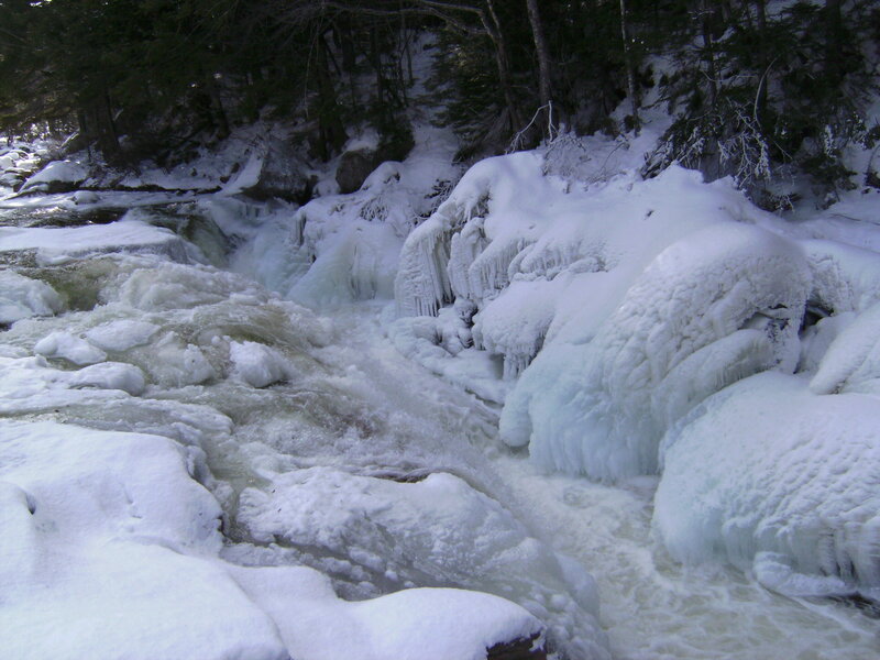 Frozen river in snowy forest