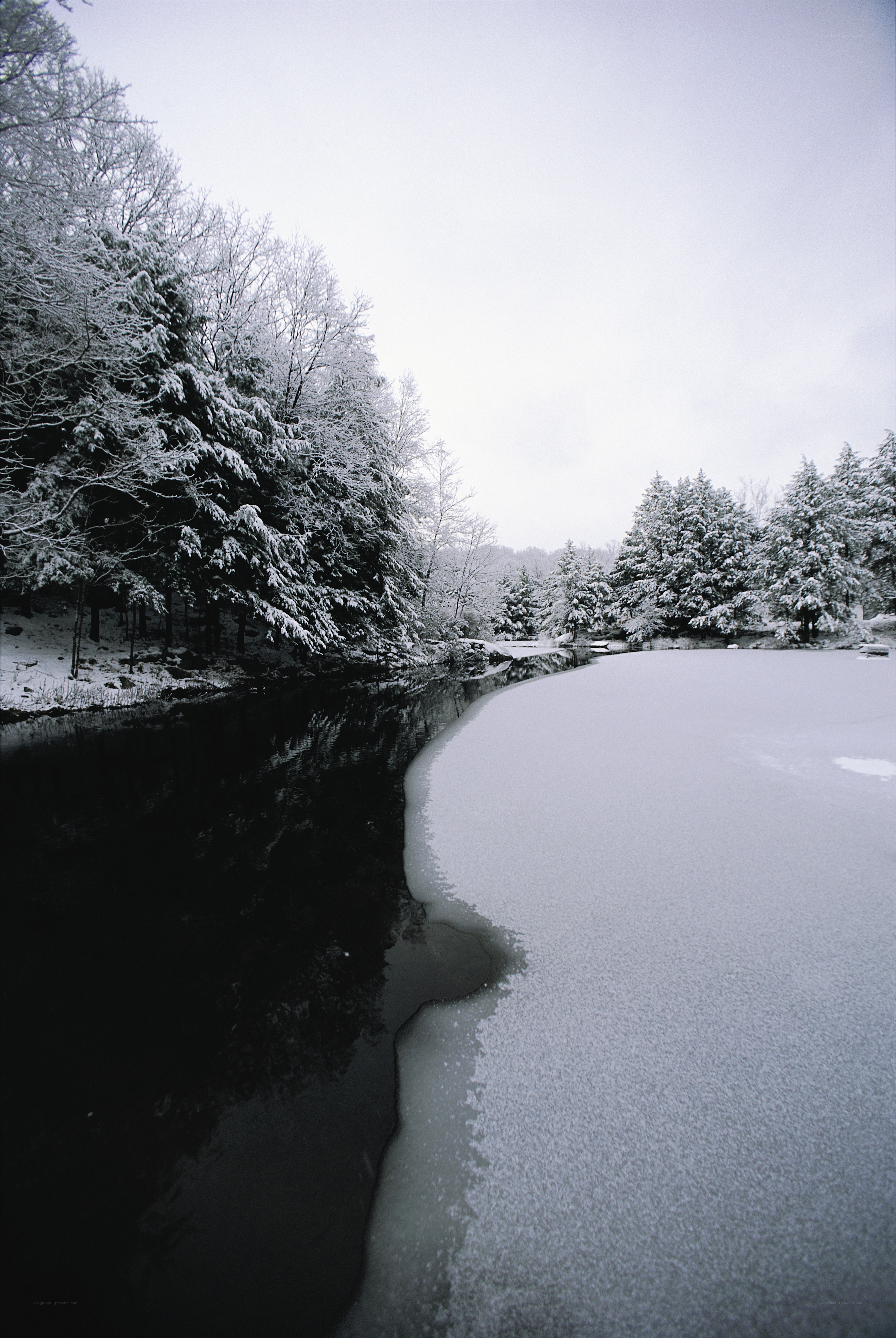 Frozen river in snowy forest