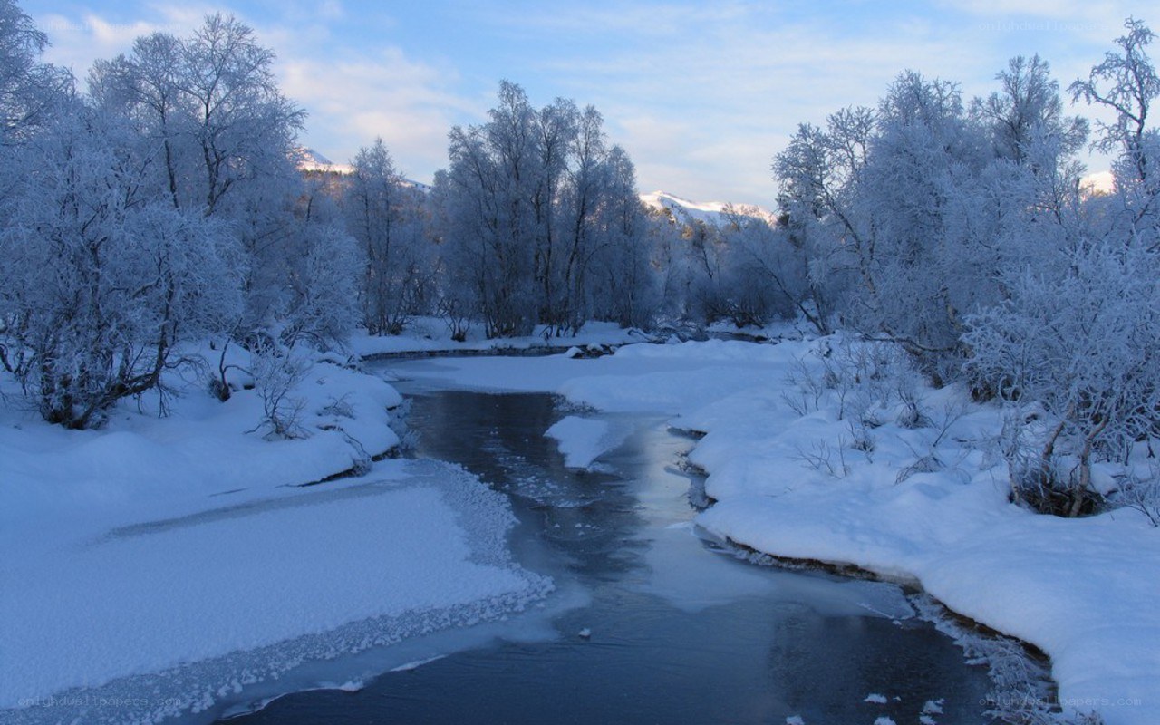 frozen river in snowy forest