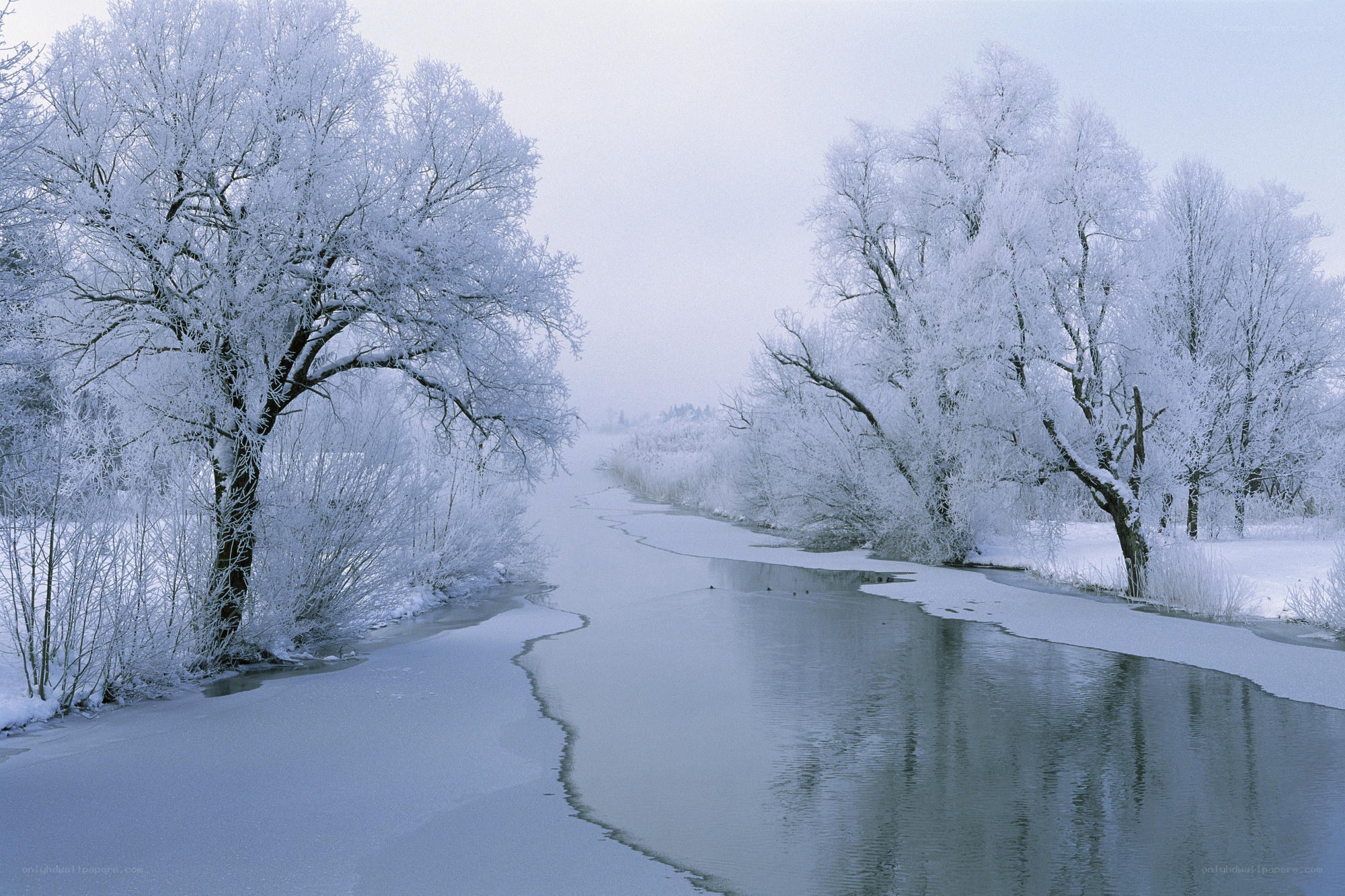 frozen river in winter