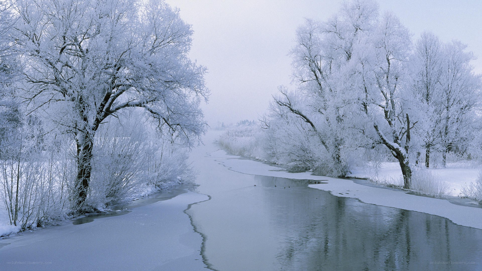 frozen river in winter