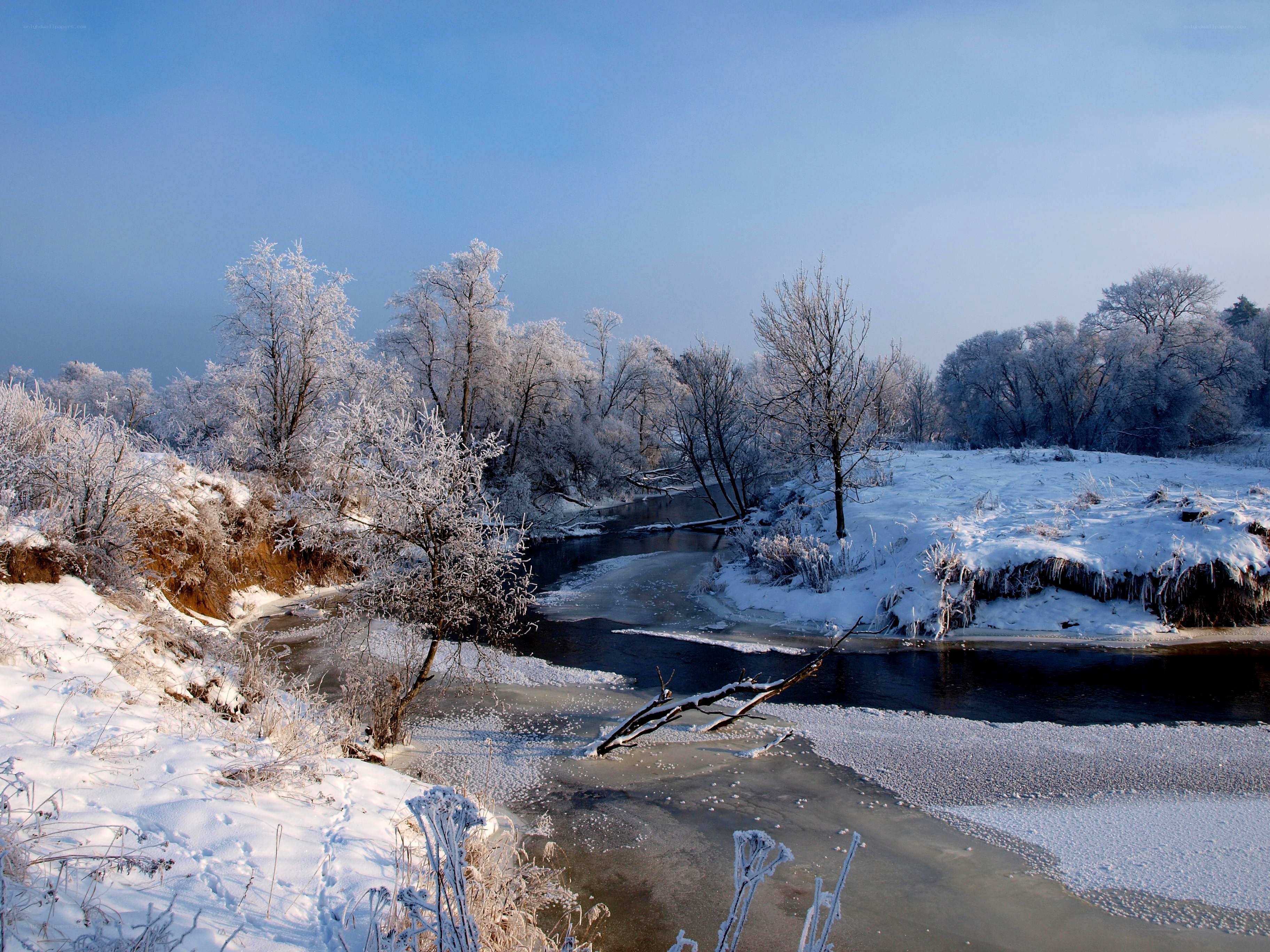 frozen river in winter