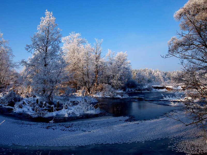 frozen river in winter
