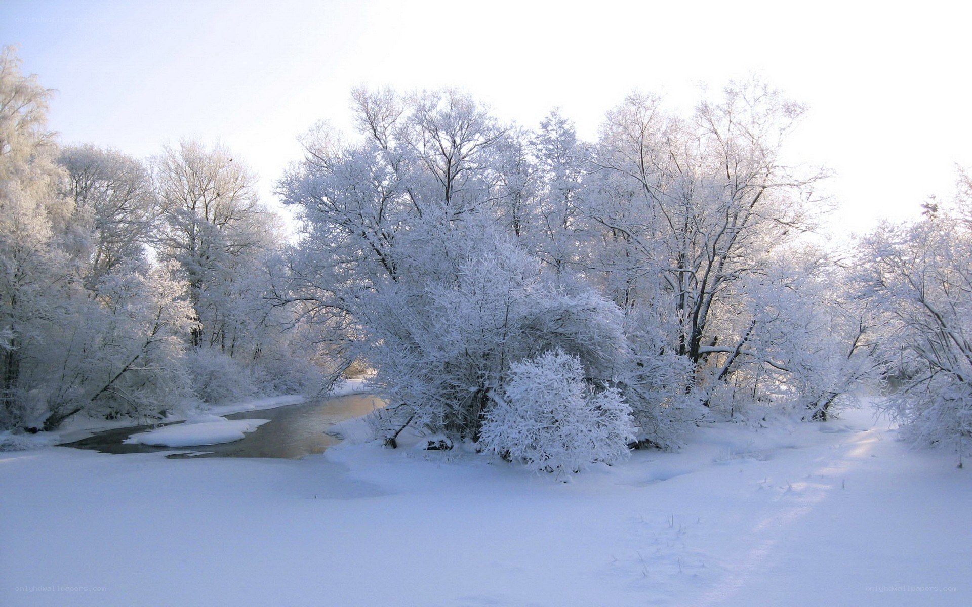 frozen river in winter