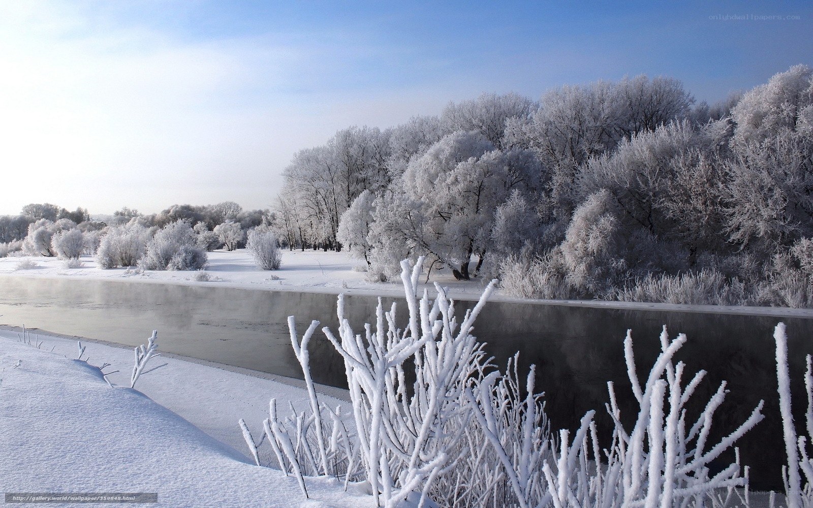 frozen river in winter