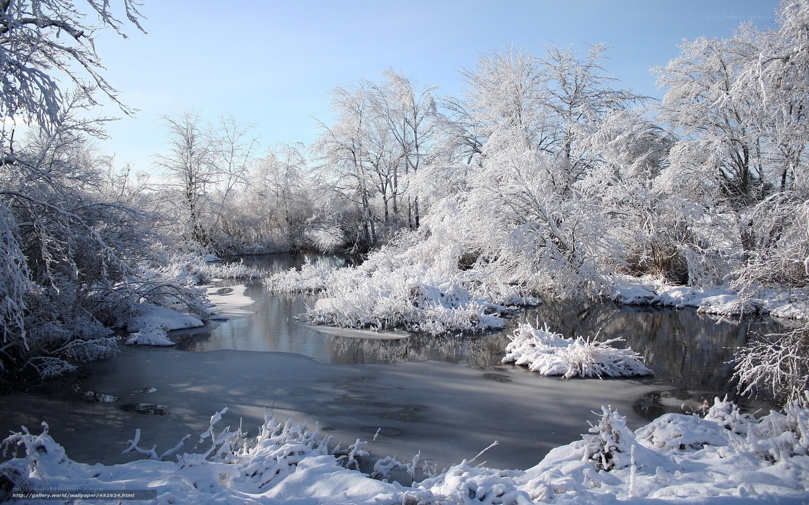 frozen river in winter