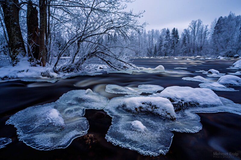 Frozen River in Winter — Blue, Cold, Photograph, Snow, Trees, Ice