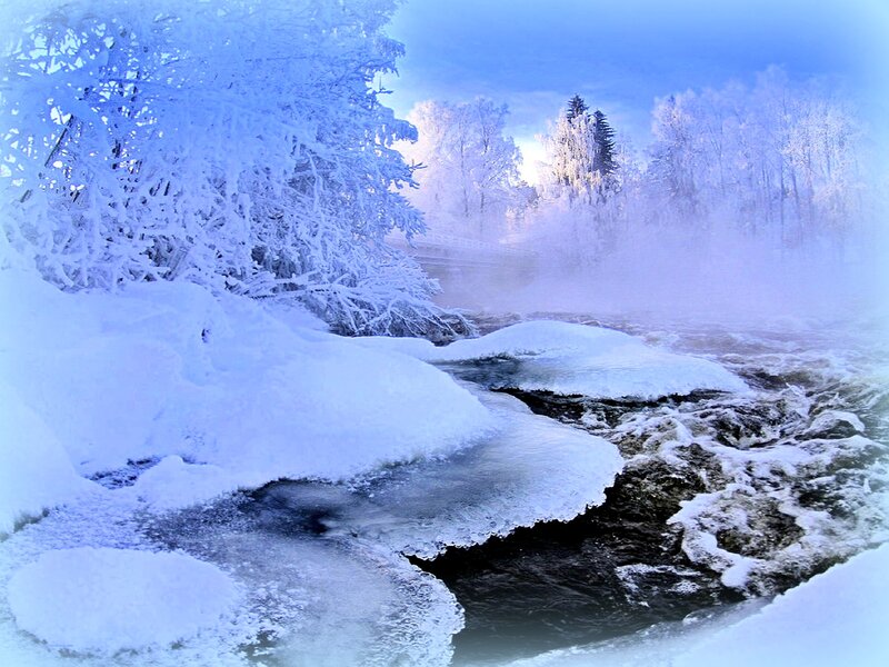 Frozen River in Winter — Blue, Cold, Photograph, Snow, Trees