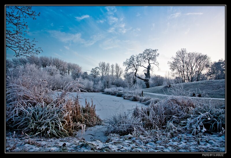 Frozen River in Winter — Blue, Cold, Photograph, Trees, Grass