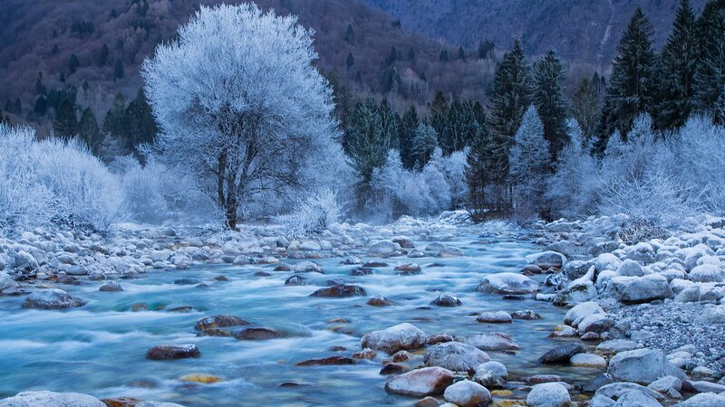 Frozen River in Winter — Blue, Cold, Photograph, Trees, Rocks
