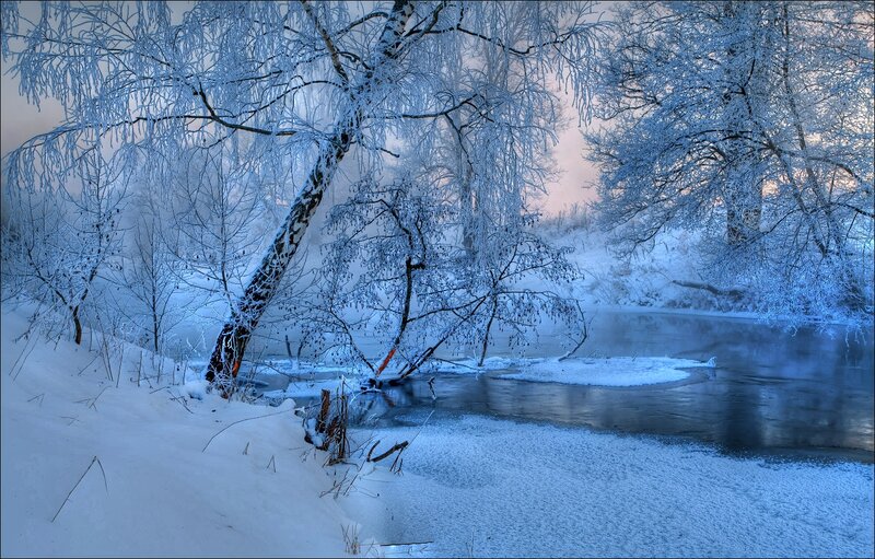 Frozen River in Winter — Blue, Cold, Photograph, Trees