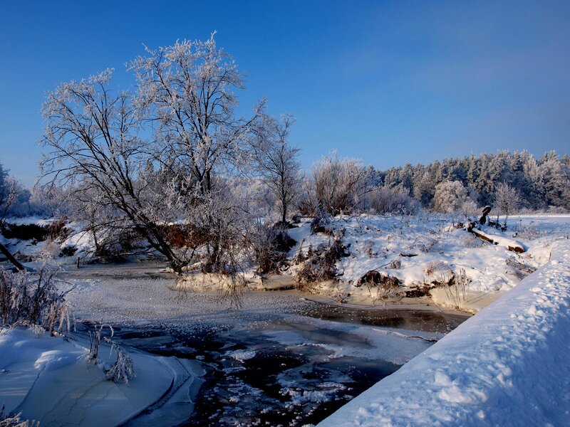 Frozen River in Winter — Blue, Serene, Photograph, Snow, Trees, Sky, White, Black