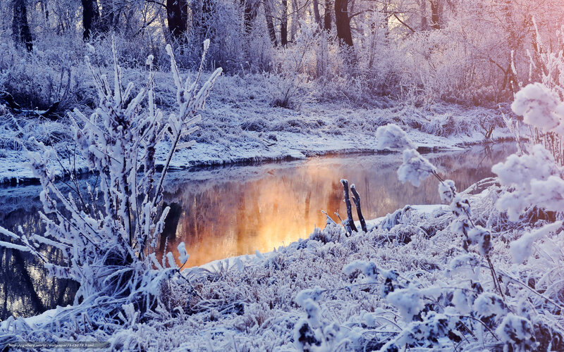 Frozen River in Winter — Blue, Serene, Photograph, Snow, Trees, Sunrise