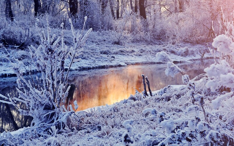 Frozen River in Winter — Blue, Serene, Photograph, Snow, Trees, Sunrise, White