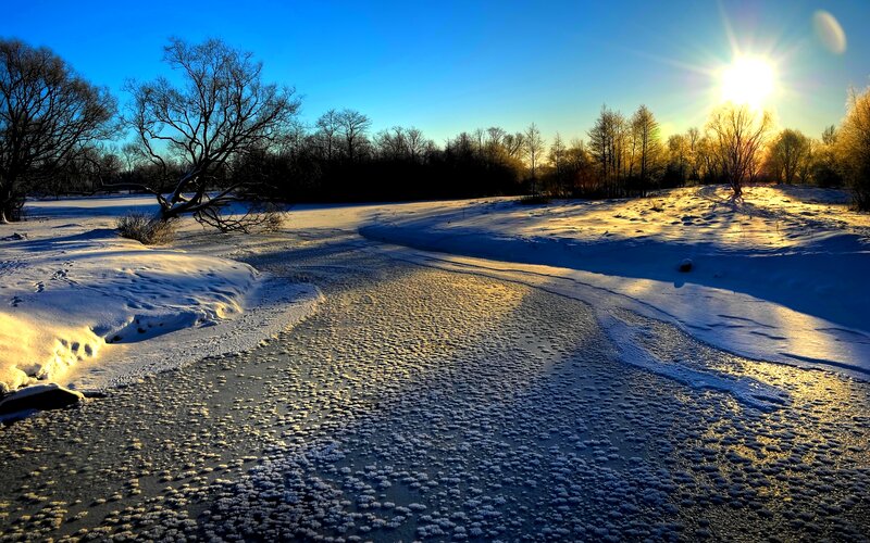 Frozen River in Winter — Blue, Serene, Photograph, Snow, Trees