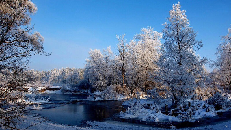 Frozen River in Winter — Blue, Serene, Photograph, Trees