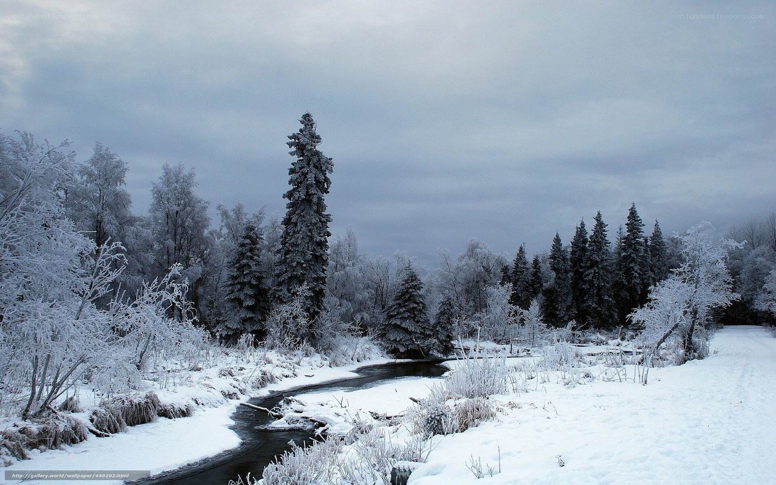 frozen river in winter forest