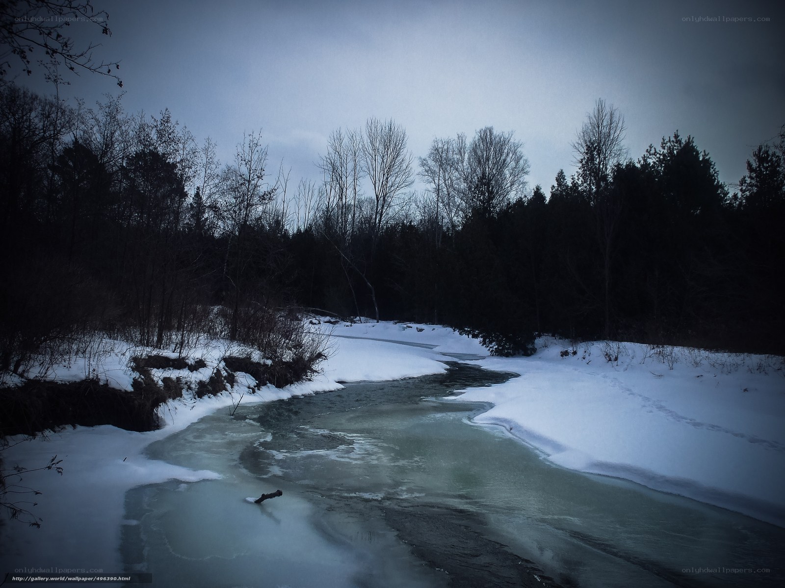 Frozen river in winter forest