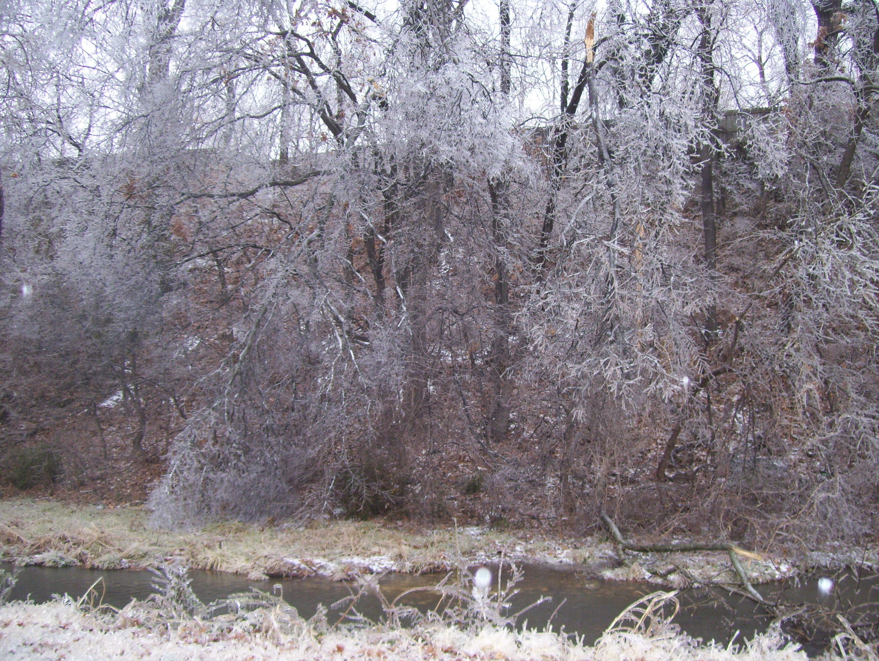 frozen river in winter forest
