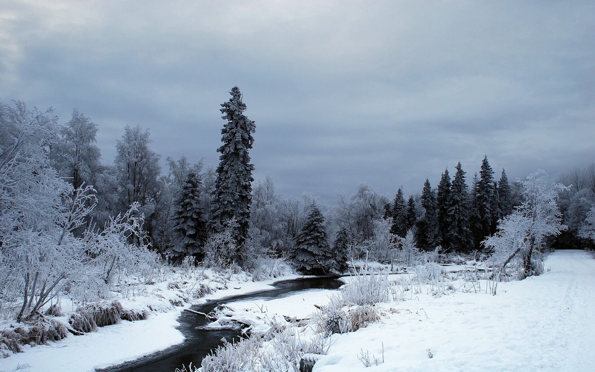 frozen river in winter forest