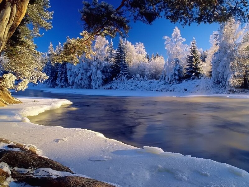 frozen river in winter forest