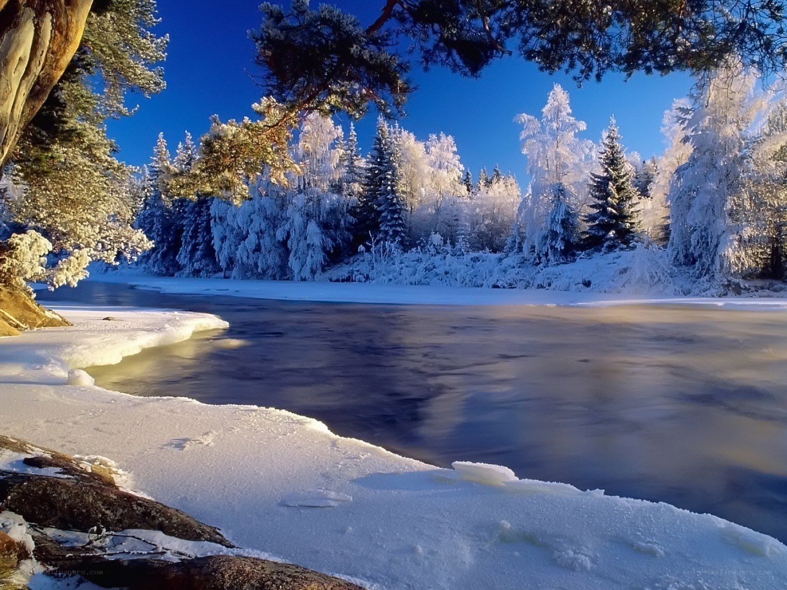 frozen river in winter forest