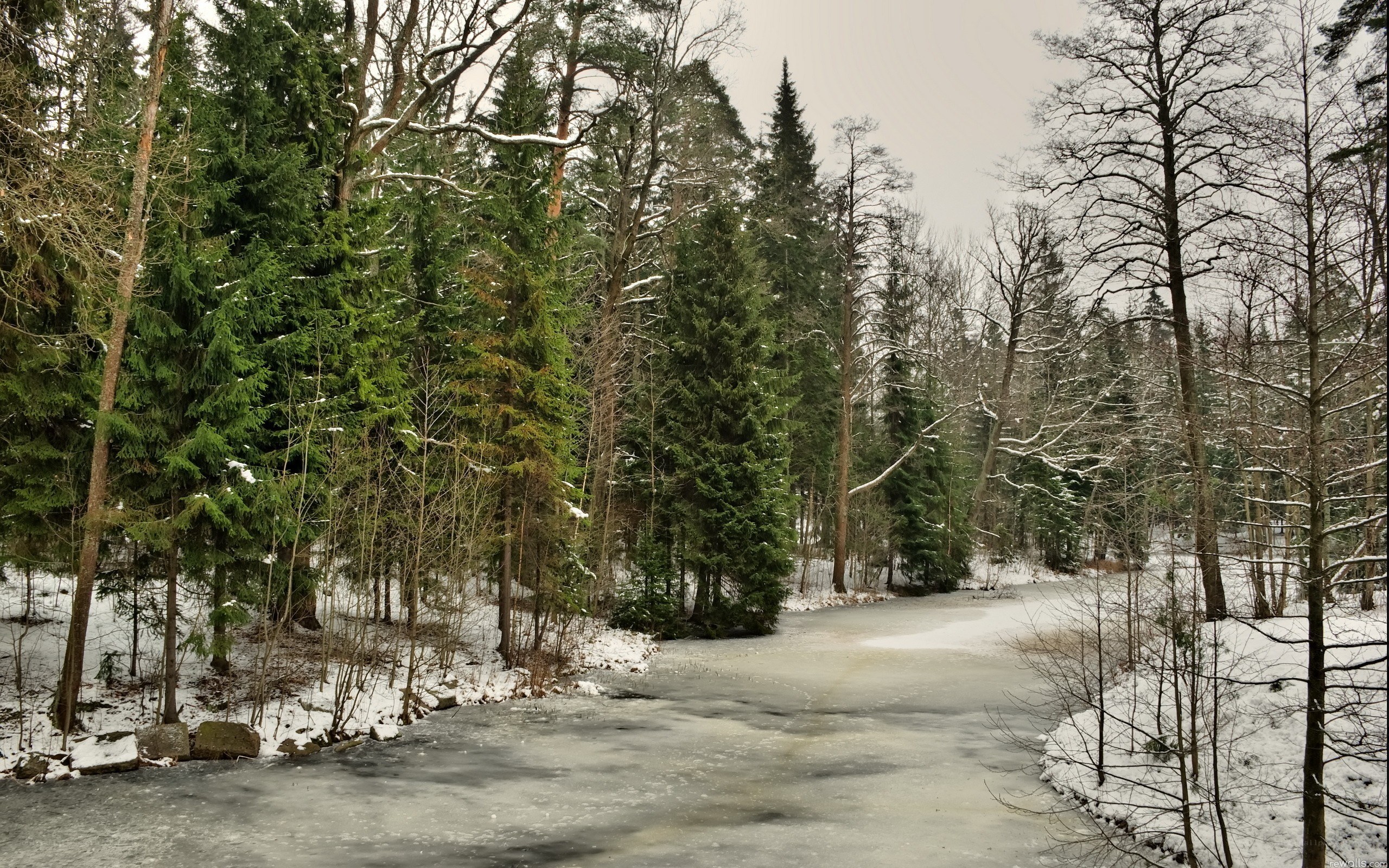 frozen river in winter forest