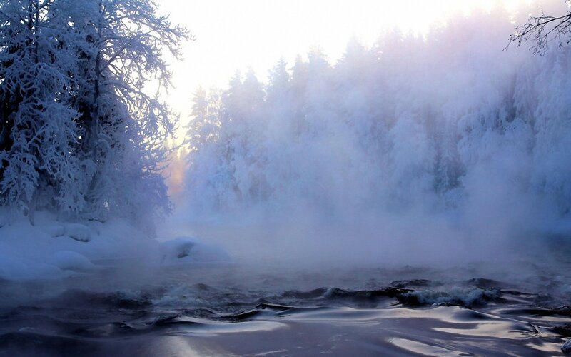 frozen river in winter forest