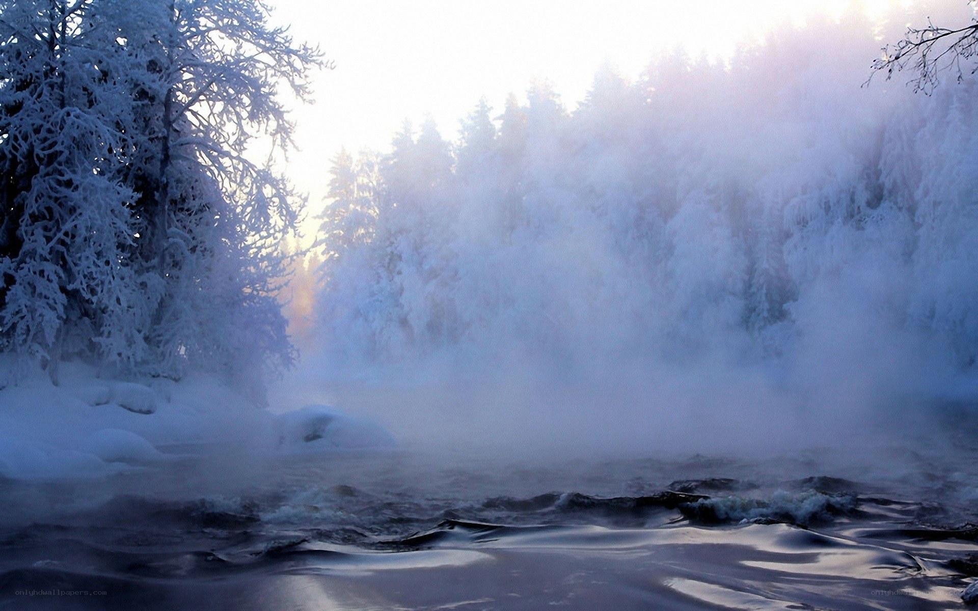 frozen river in winter forest
