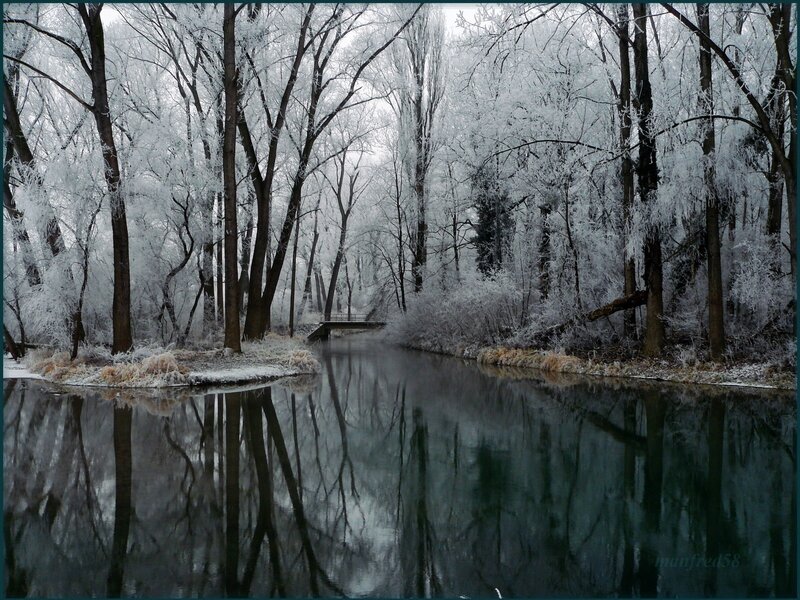frozen river in winter forest