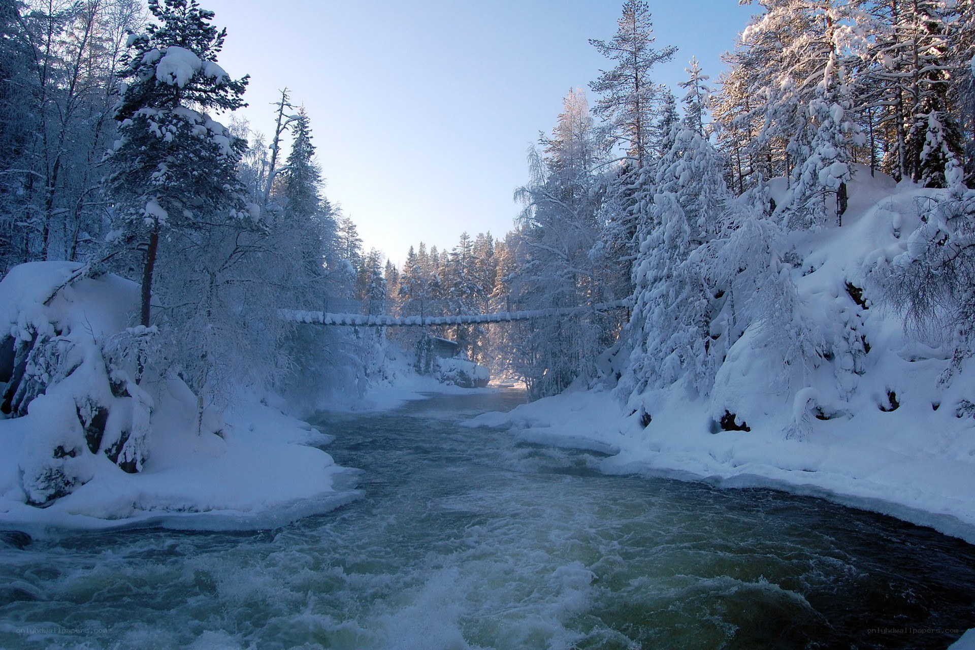 Frozen river in winter forest