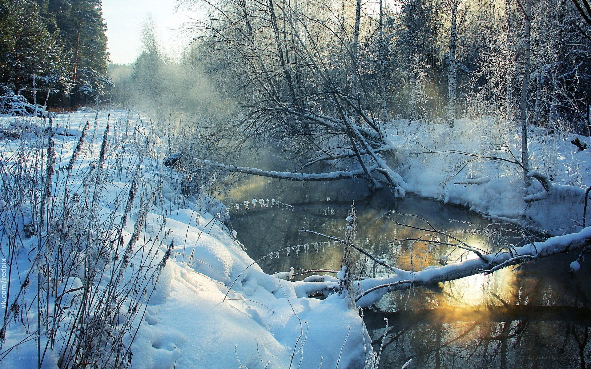 frozen river in winter forest