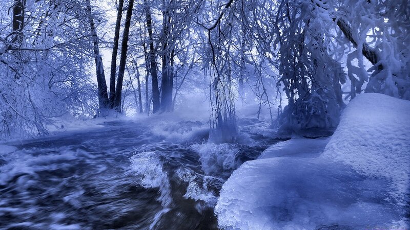 Frozen river in winter forest