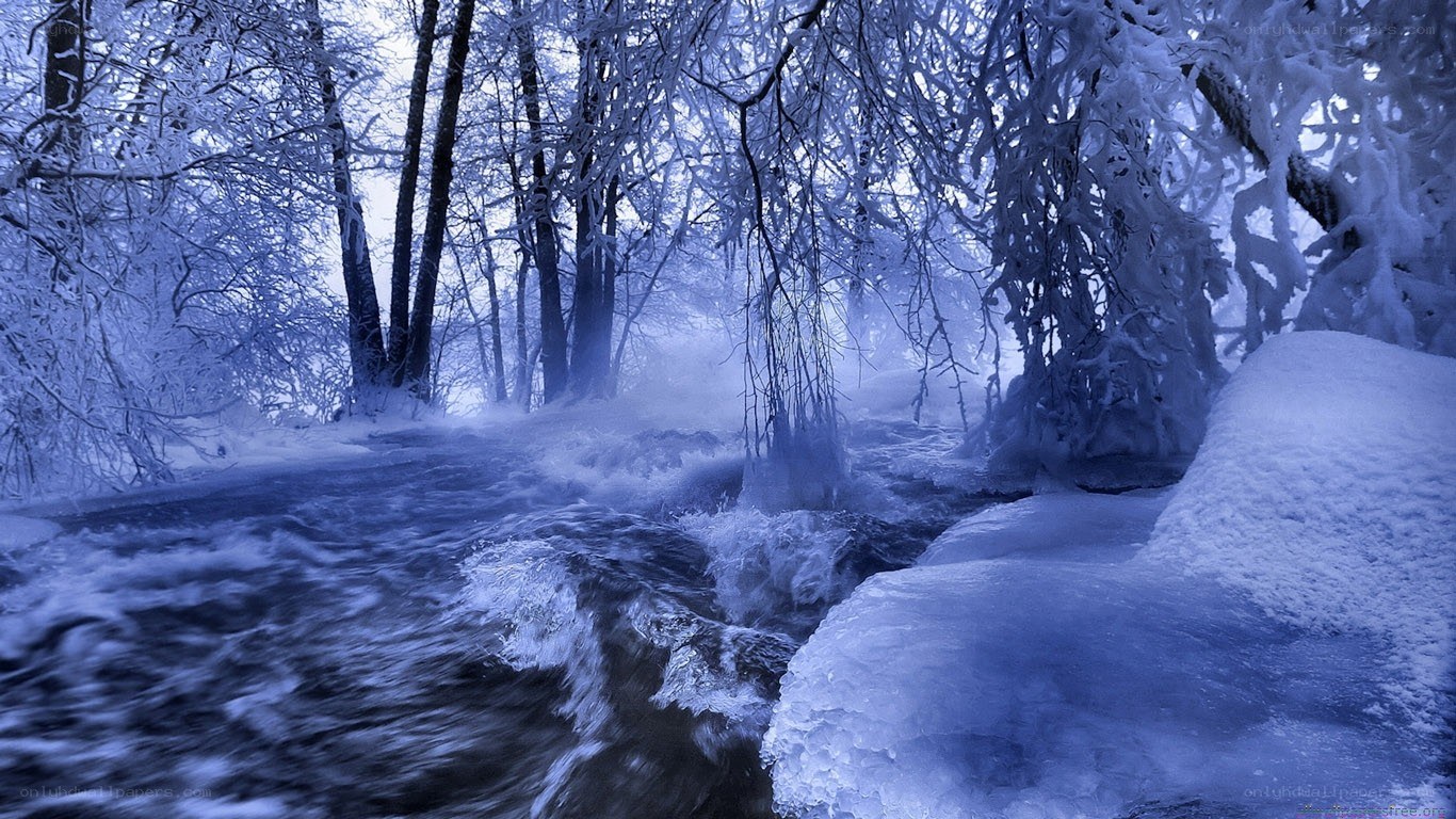 Frozen river in winter forest