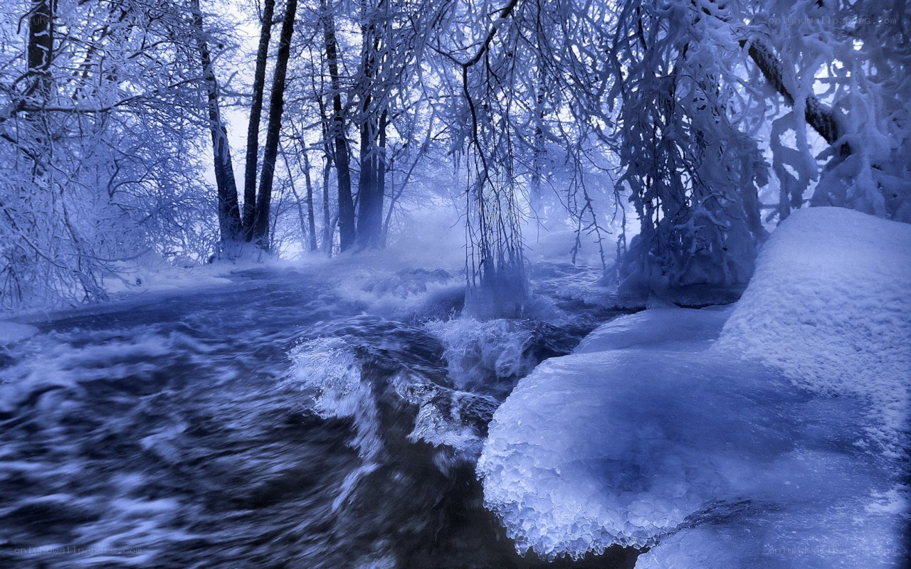Frozen river in winter forest