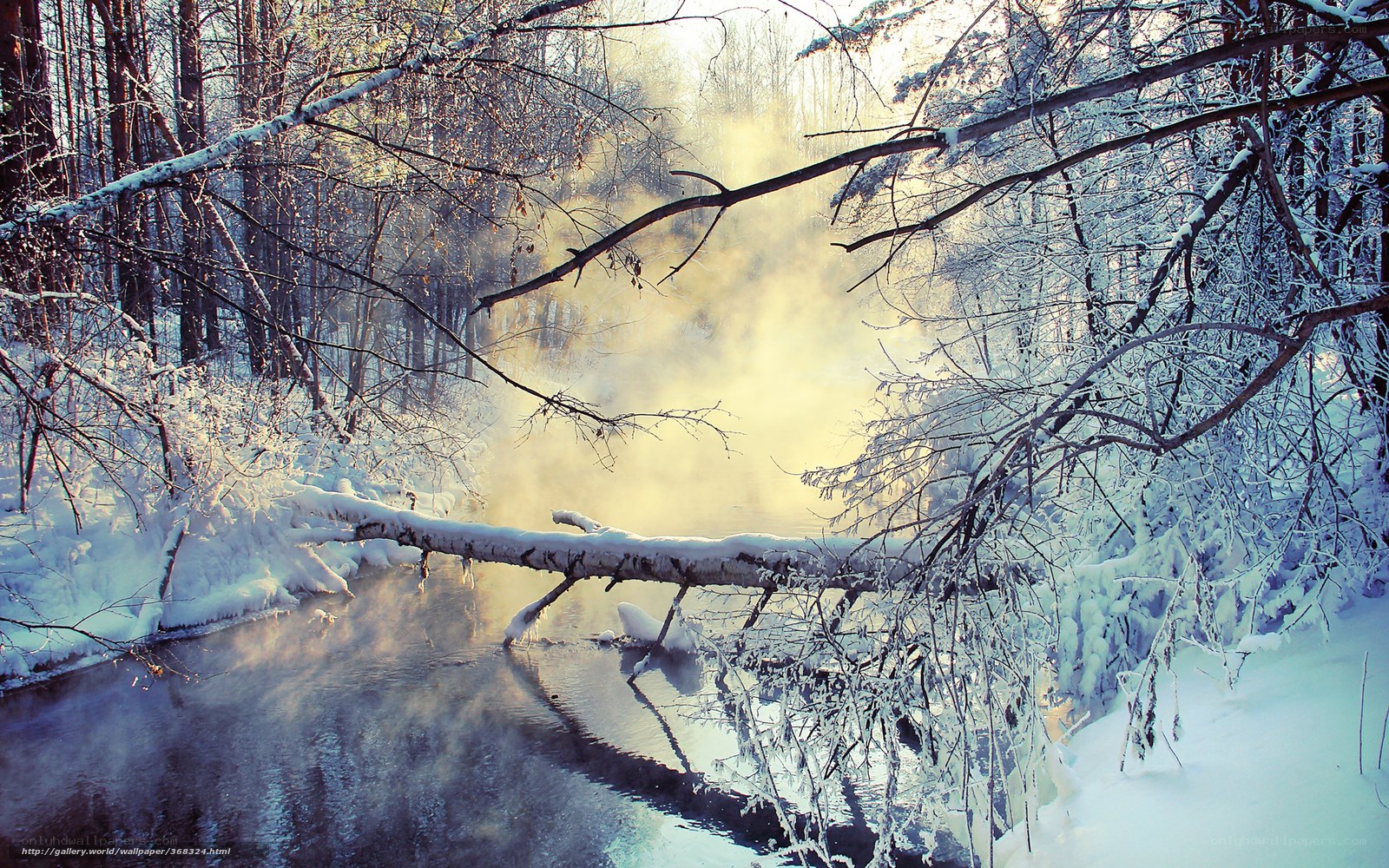frozen river in winter forest