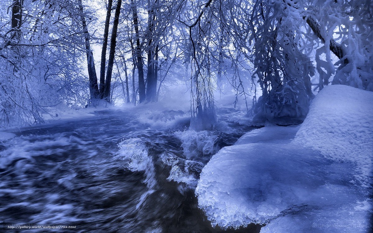 Frozen river in winter forest
