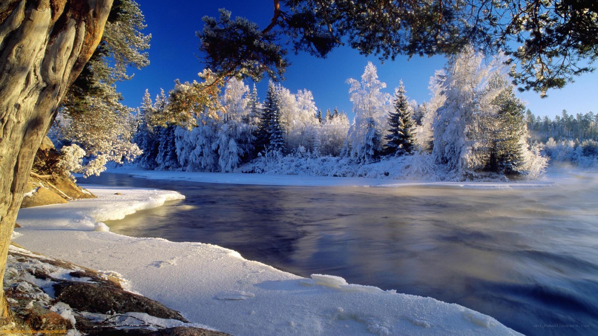 Frozen river in winter landscape