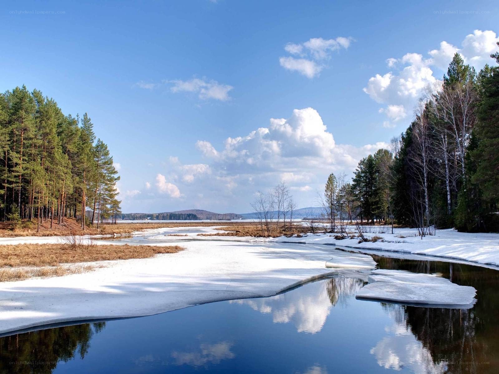 Frozen river in winter landscape